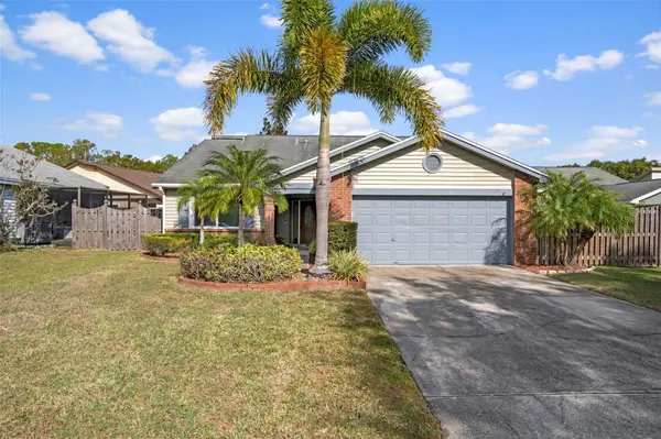 3559 DEER RUN S, Palm Harbor, FL 34684