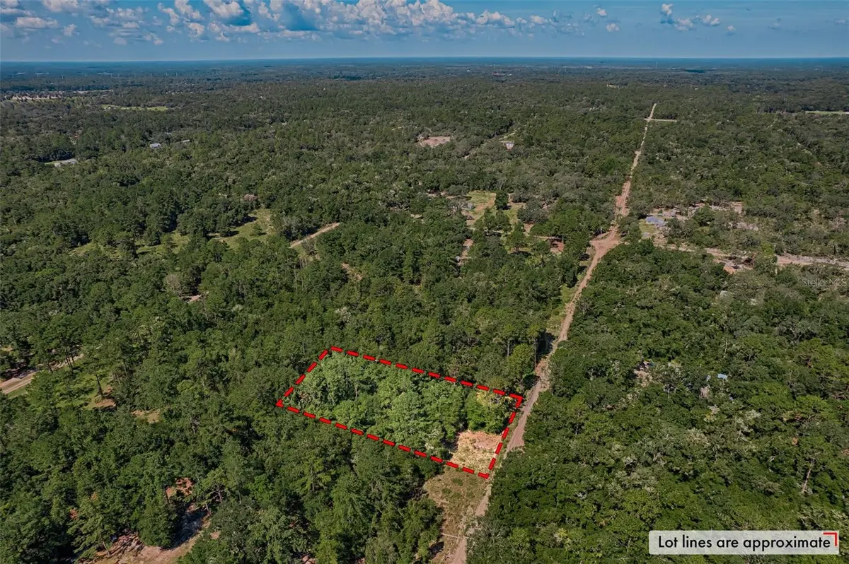 000 NE 83RD LN, Bronson, FL 32621