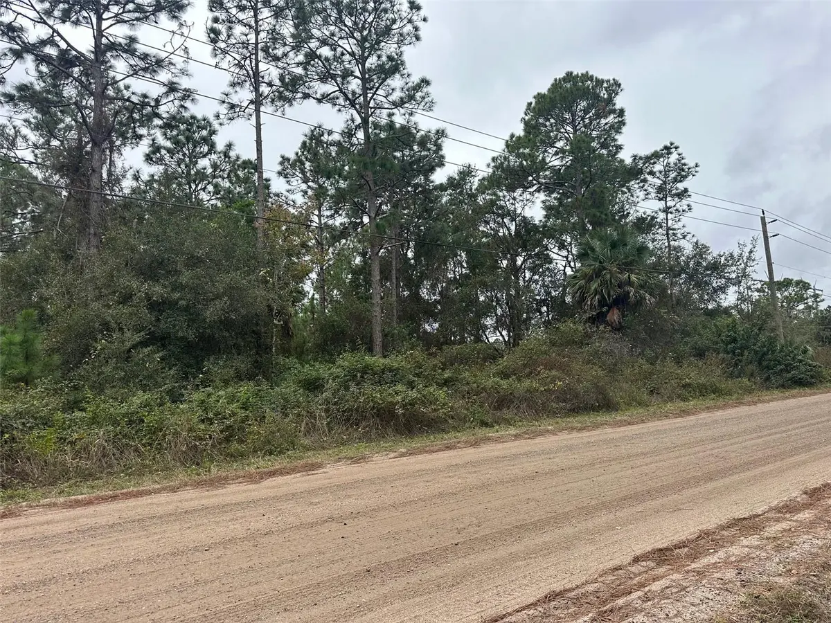 SETTLERS LOOP, Geneva, FL 32732