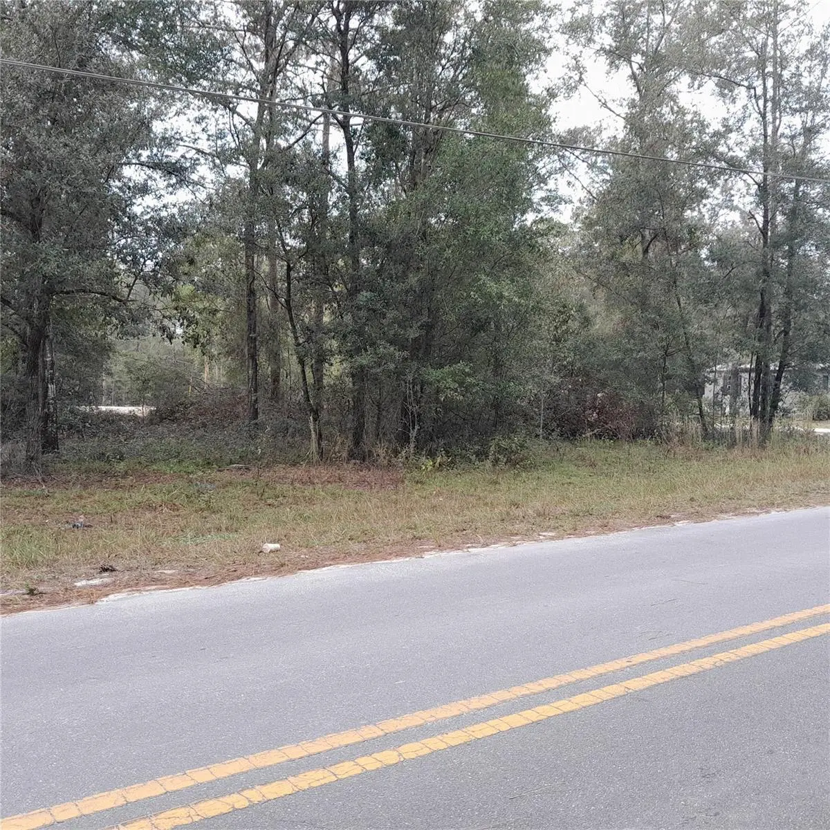 tbd NE 101ST CT, Bronson, FL 32621