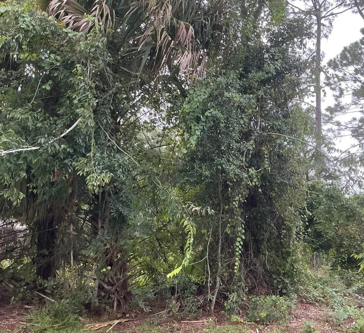 39 WHITTINGTON DR, Palm Coast, FL 32164