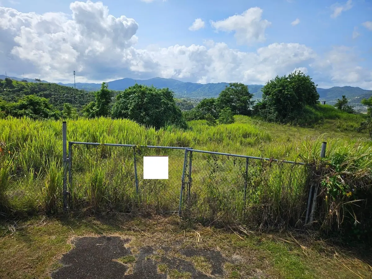 CARR 734, Cidra, PR 00739