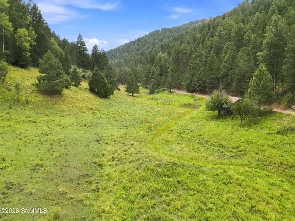 TBD Wills Canyon RD, Cloudcroft, NM 88317