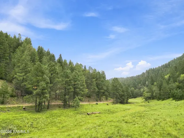 TBD Wills Canyon RD, Cloudcroft, NM 88317
