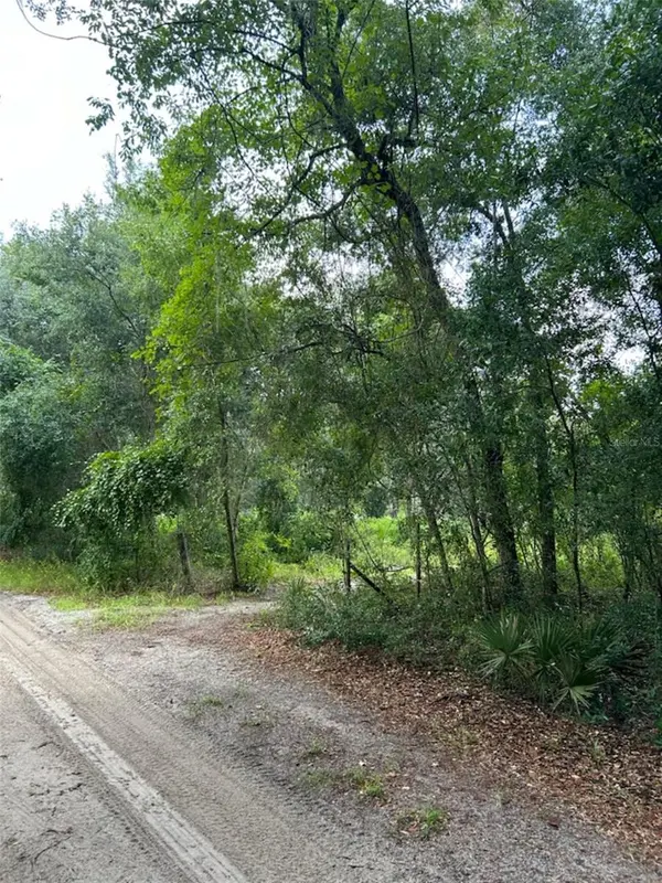 9437 SE 192ND AVE,  Ocklawaha,  FL 32179