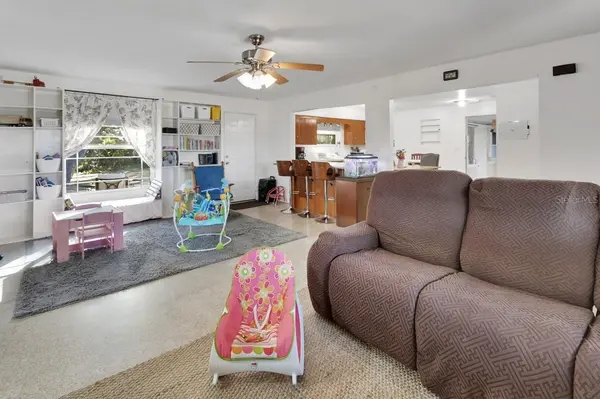4725 AUDUBON AVE, De Leon Springs, FL 32130