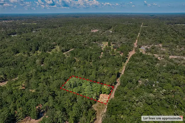 000 NE 83RD LN, Bronson, FL 32621