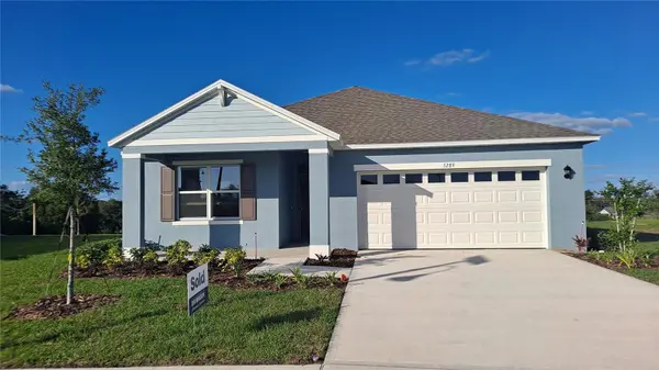 5289 GREENHEART AVE, Mount Dora, FL 32757