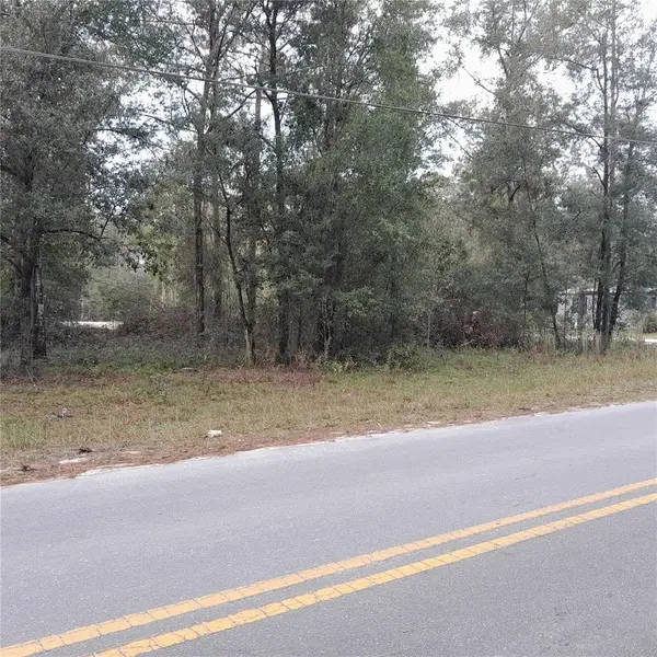 tbd NE 101ST CT,  Bronson,  FL 32621