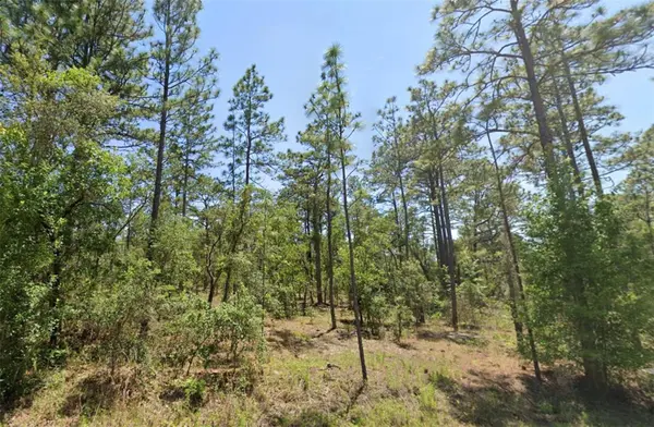 00 NW SHAMROCK AVE, Dunnellon, FL 34431