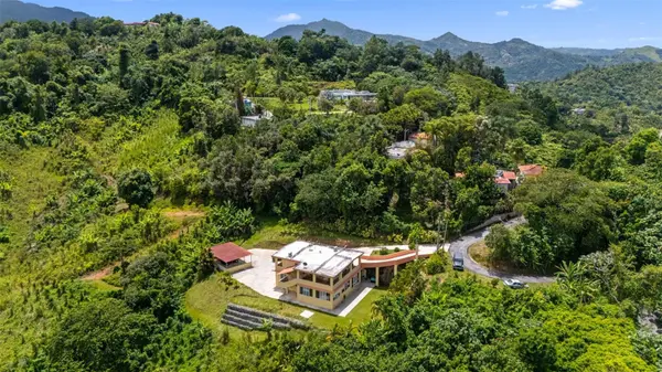 PR 529 KM 1.2 LOMA BONITA,  BO. YAHUECAS, Adjuntas, PR 00601