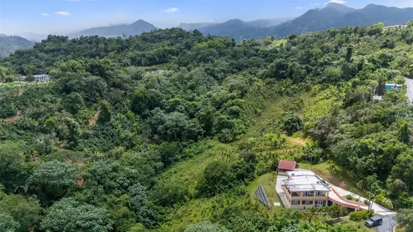 PR 529 KM 1.2 LOMA BONITA,  BO. YAHUECAS, Adjuntas, PR 00601