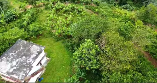 CAMINO PATRIA RULLAN, Utuado, PR 00641