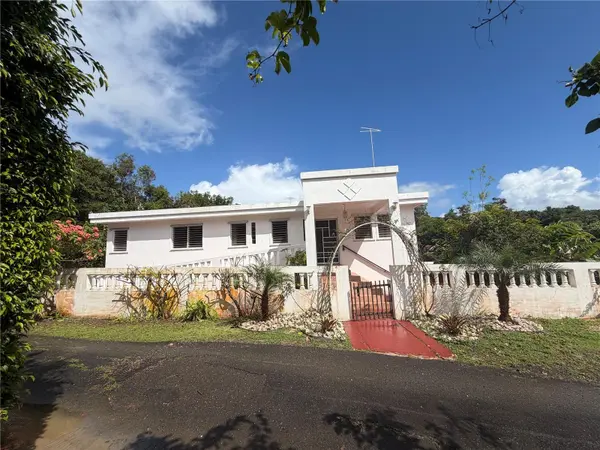 Sector Valle Real BO. ARENAS, Cidra, PR 00739