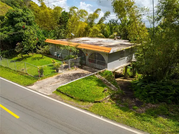 Road 143 KILO 54.6, Barranquitas, PR 00794