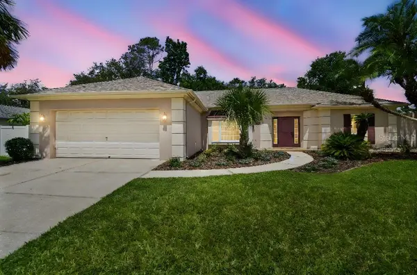 18504 PUTTERS PL, Tampa, FL 33647