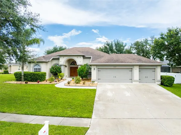 12407 CREEK EDGE DR, Riverview, FL 33579