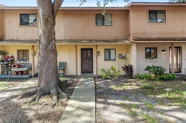 3920 CEDAR LIMB CT, Tampa, FL 33614