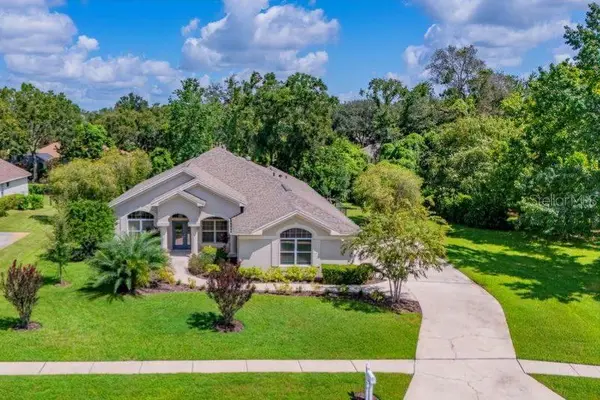 6022 KESTREL POINT AVE,  Lithia,  FL 33547