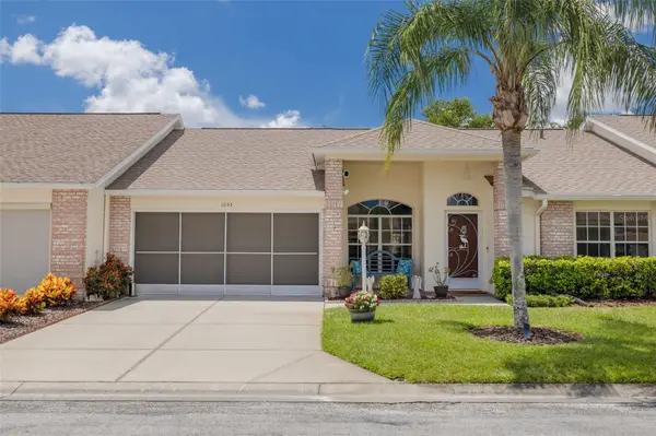 1055 BLYTH HILL CT,  Trinity,  FL 34655