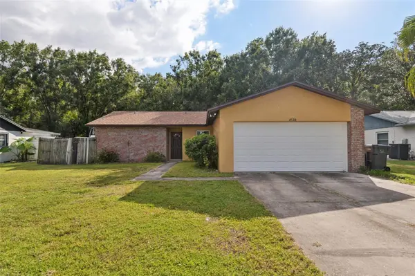 14128 ARBOR HILLS RD, Tampa, FL 33625