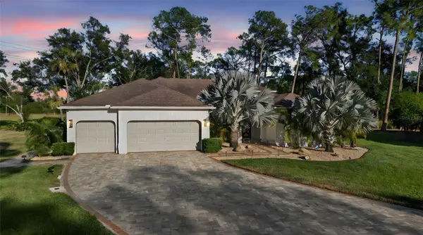 15802 STANTON LN, Tampa, FL 33647