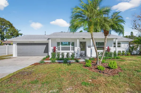 1713 CONNECTICUT AVE NE, St Petersburg, FL 33703