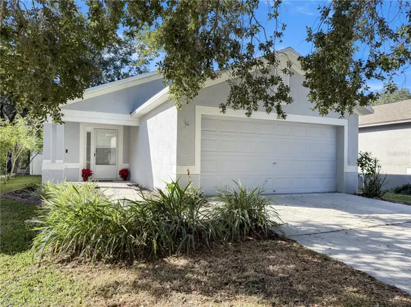 18170 CANAL POINTE ST, Tampa, FL 33647