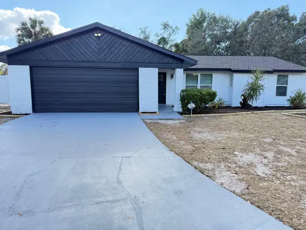 4107 DENAGE CT, Brandon, FL 33511