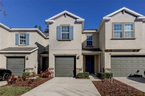 6623 CITRUS CREEK LN, Tampa, FL 33625