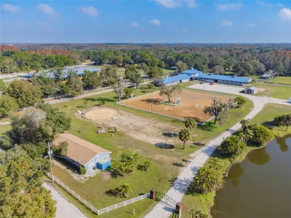 11550 TARPON SPRINGS RD, Odessa, FL 33556