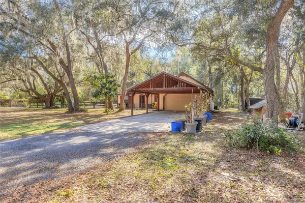 1501 DILLARD RD, Astor, FL 32102