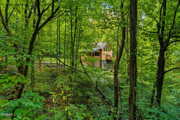 3163 Sourwood Way, Sevierville, TN 37862