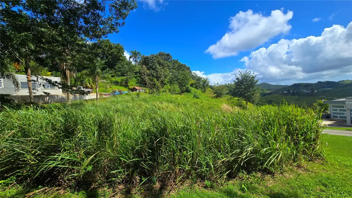152 QUEBRADILLAS #3, Barranquitas, PR 00794