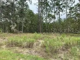 000 NW RIDGEWOOD RD, Dunnellon, FL 34431