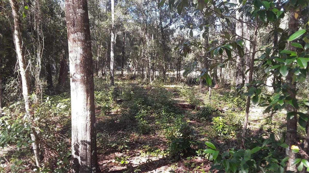 BEAVERHEAD ST, Alford, FL 32420