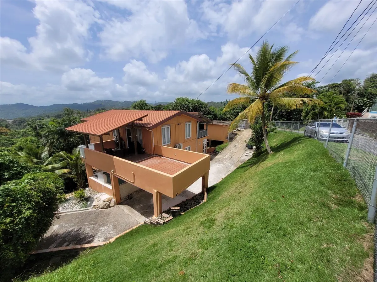 PR156 MULAS, Aguas Buenas, PR 00703