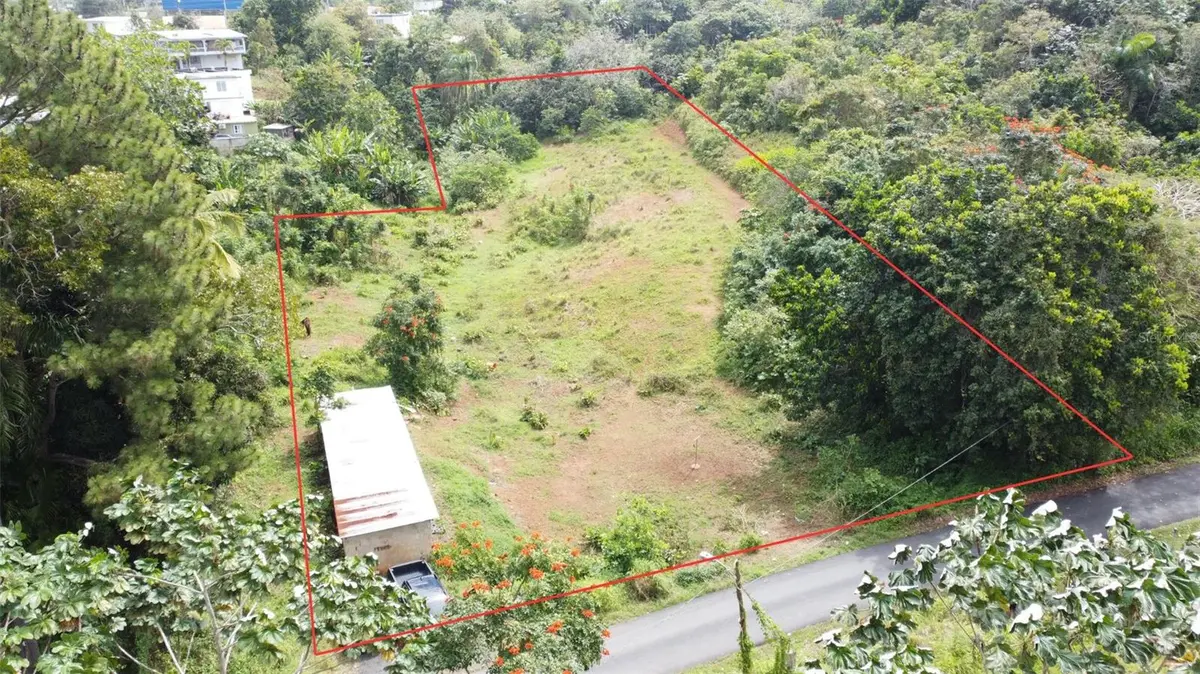 CARR 173 SUMIDERO #4, Aguas Buenas, PR 00703