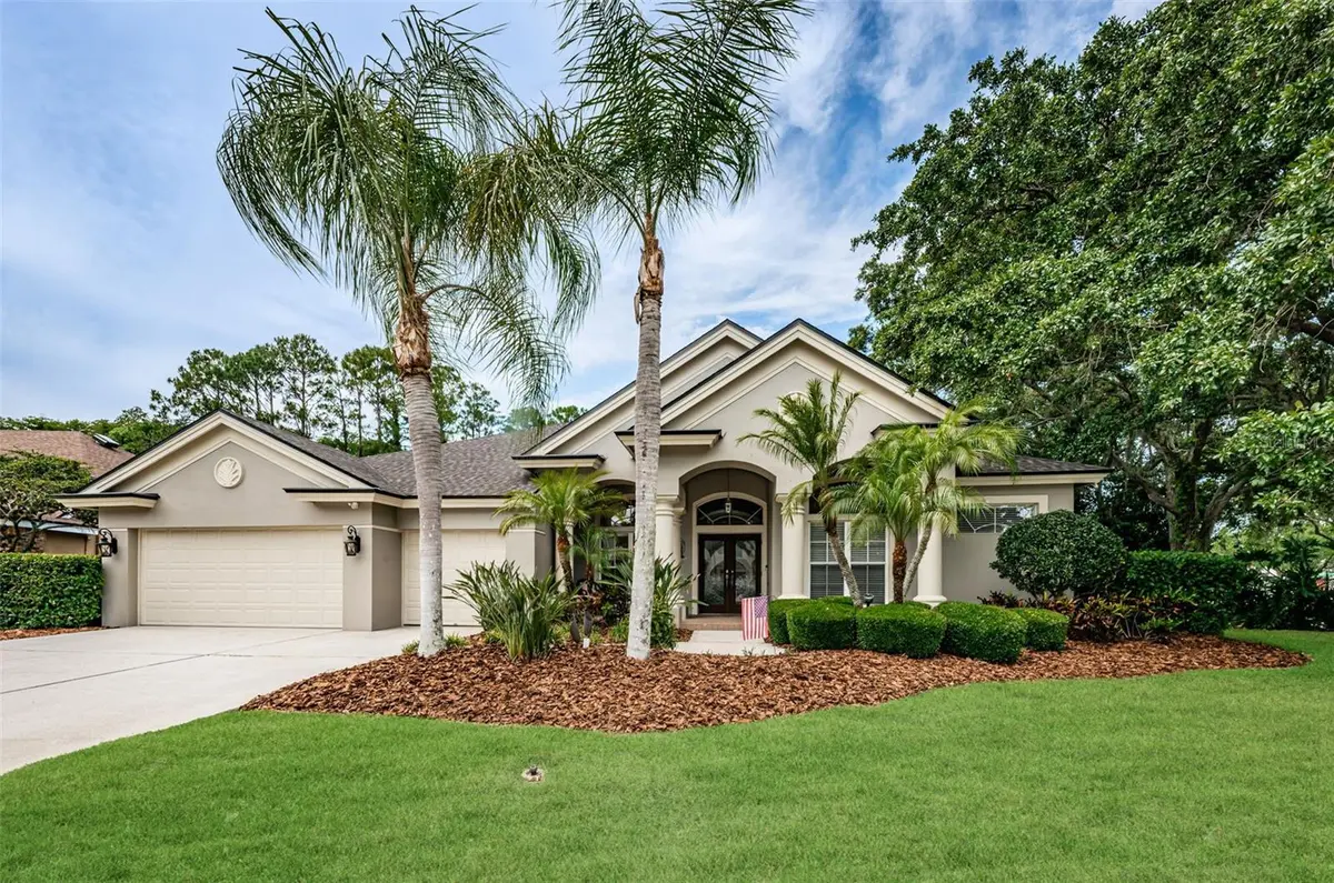 4604 AYRON TER, Palm Harbor, FL 34685