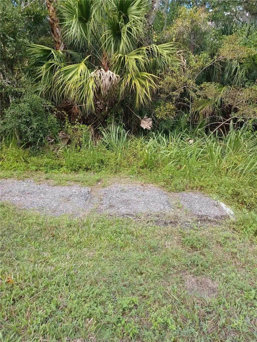 LAKE HARNEY RD, Geneva, FL 32732