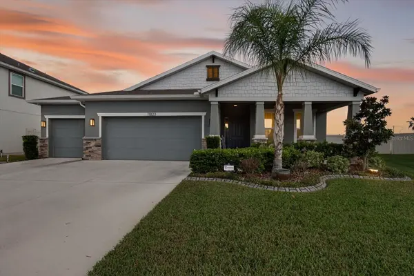 11823 TETRAFIN DR, Riverview, FL 33579