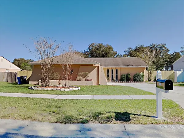 3410 KING RICHARD CT,  Seffner,  FL 33584