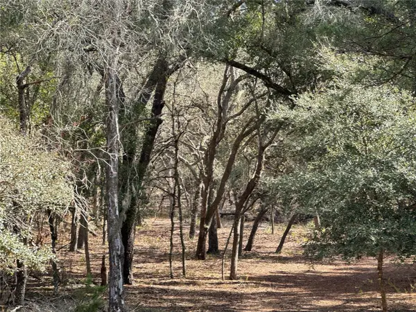 SW 70TH TER, Bushnell, FL 33513