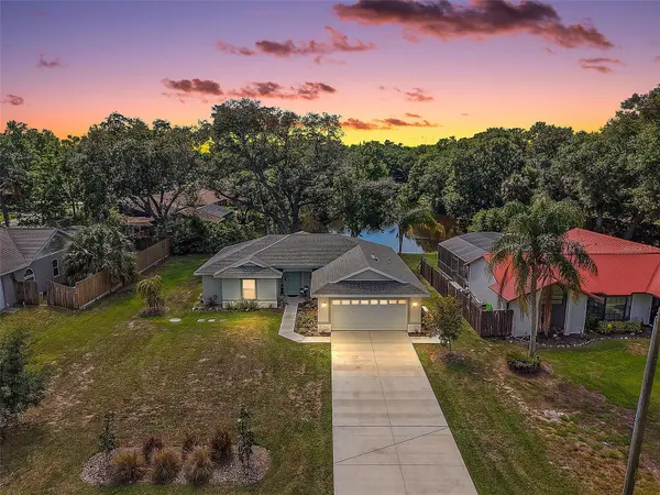 335 VINCENT DR, Mount Dora, FL 32757