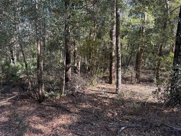 Lots 4-29 NE 123RD CT, Archer, FL 32618
