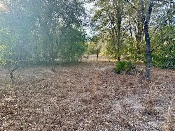 NW 5TH AVE, Branford, FL 32008