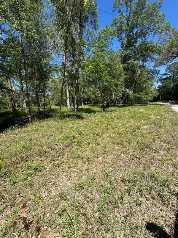 TBD SW 25 PL, Bell, FL 32619