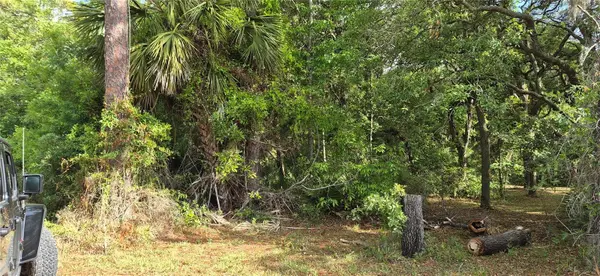 9351 NW 120TH ST,  Chiefland,  FL 32626
