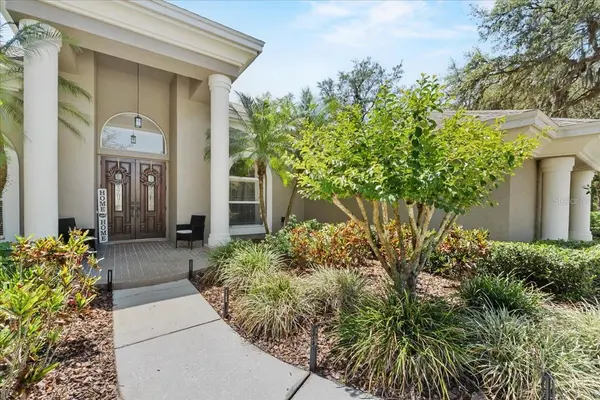 6007 HAMMOCK HILL AVE, Lithia, FL 33547