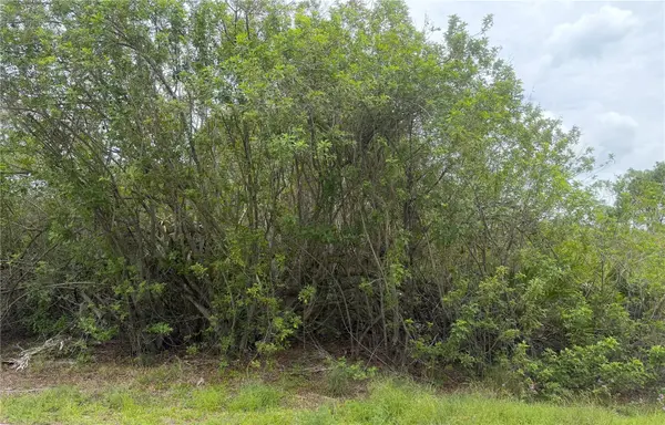 140 FILLMORE AVE, Lake Placid, FL 33852